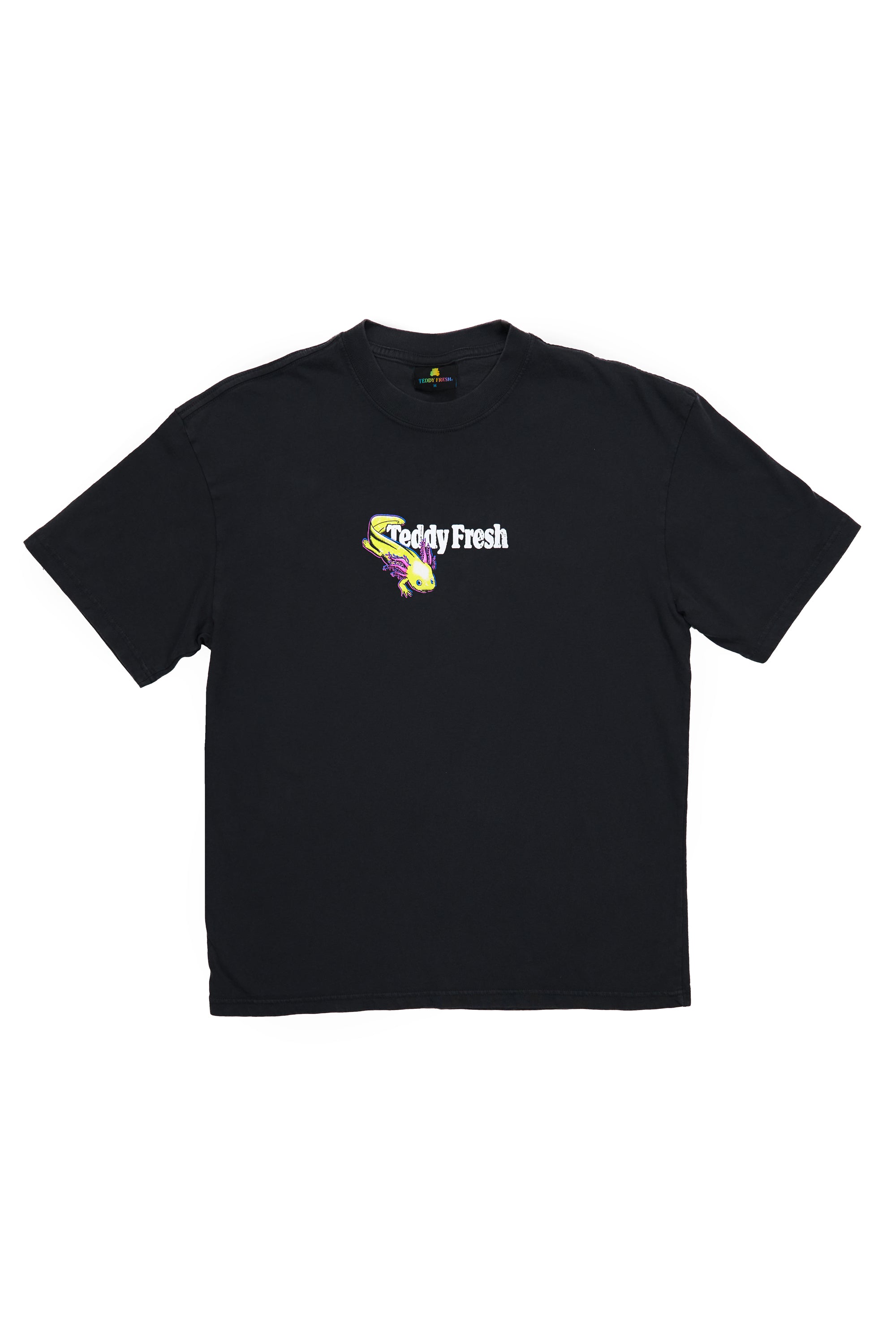 What Am I Doing Here Axolotl Adult Tee