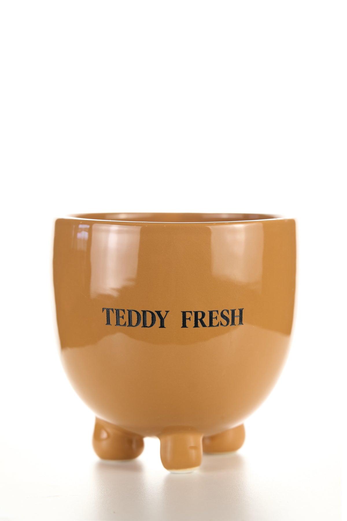 Teddy Head Planter