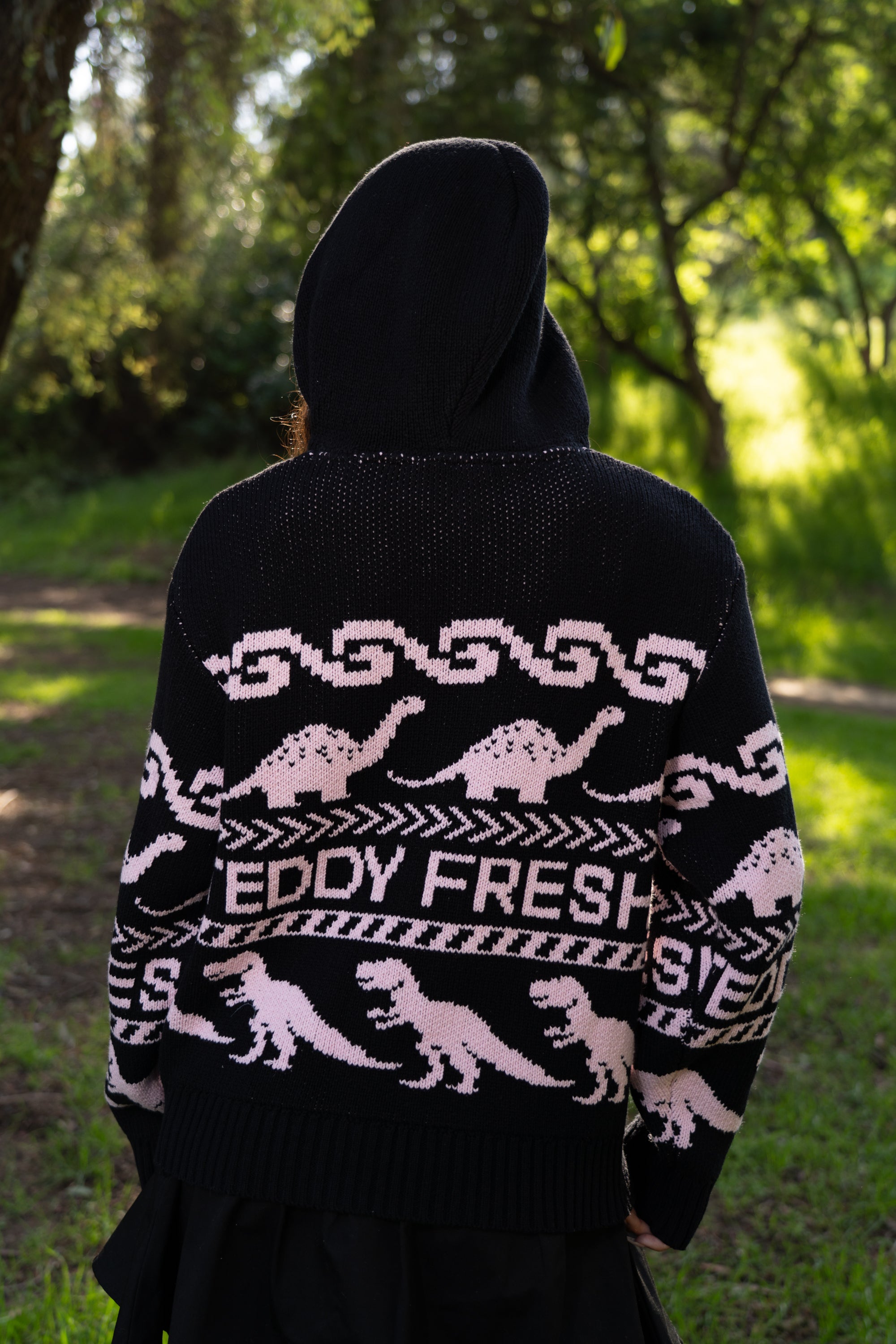 Paleontology Knit Hoodie