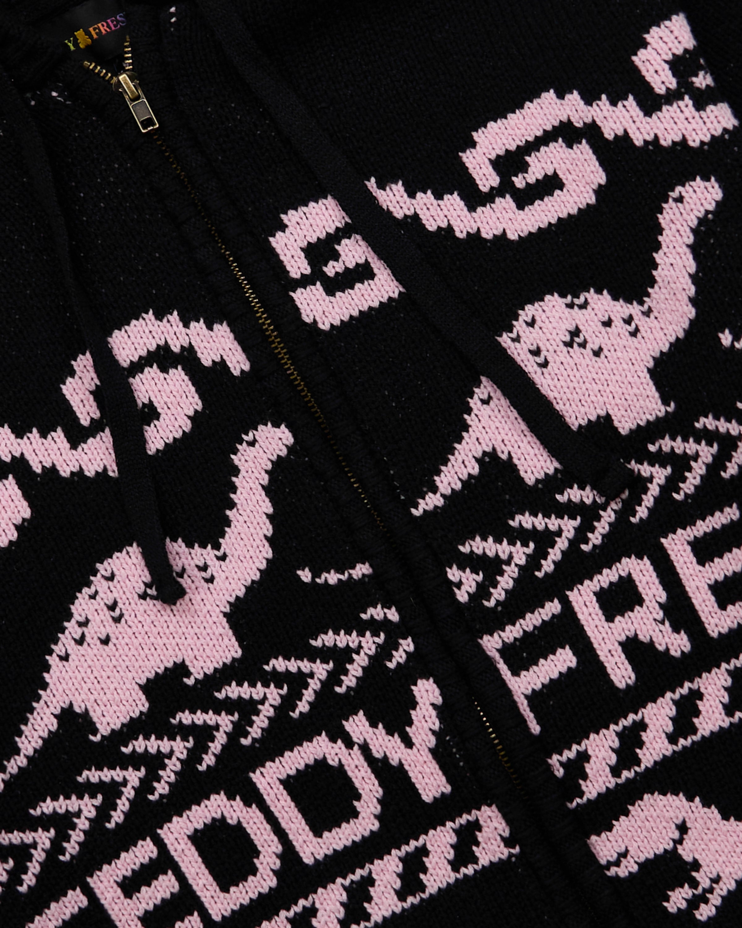 Paleontology Knit Hoodie