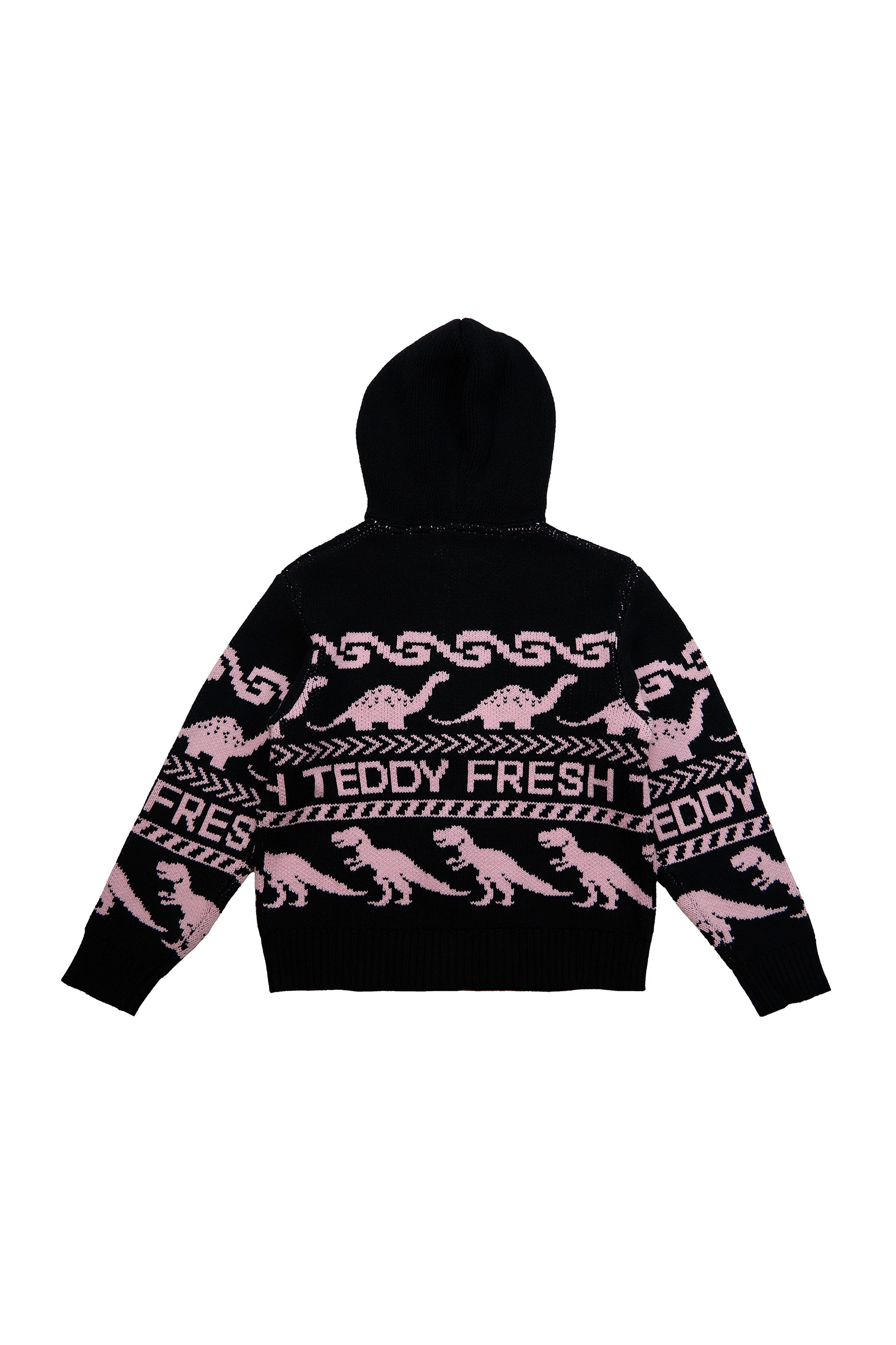 Paleontology Knit Hoodie