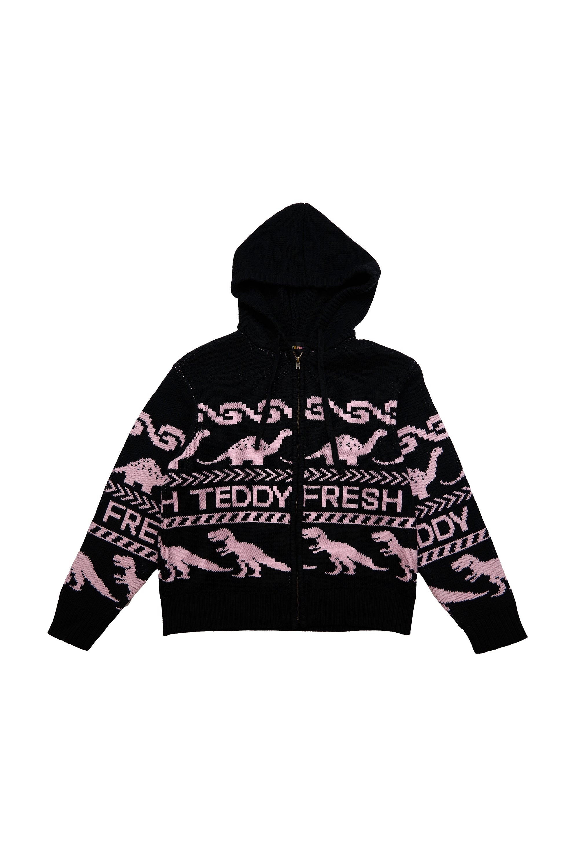 Paleontology Knit Hoodie