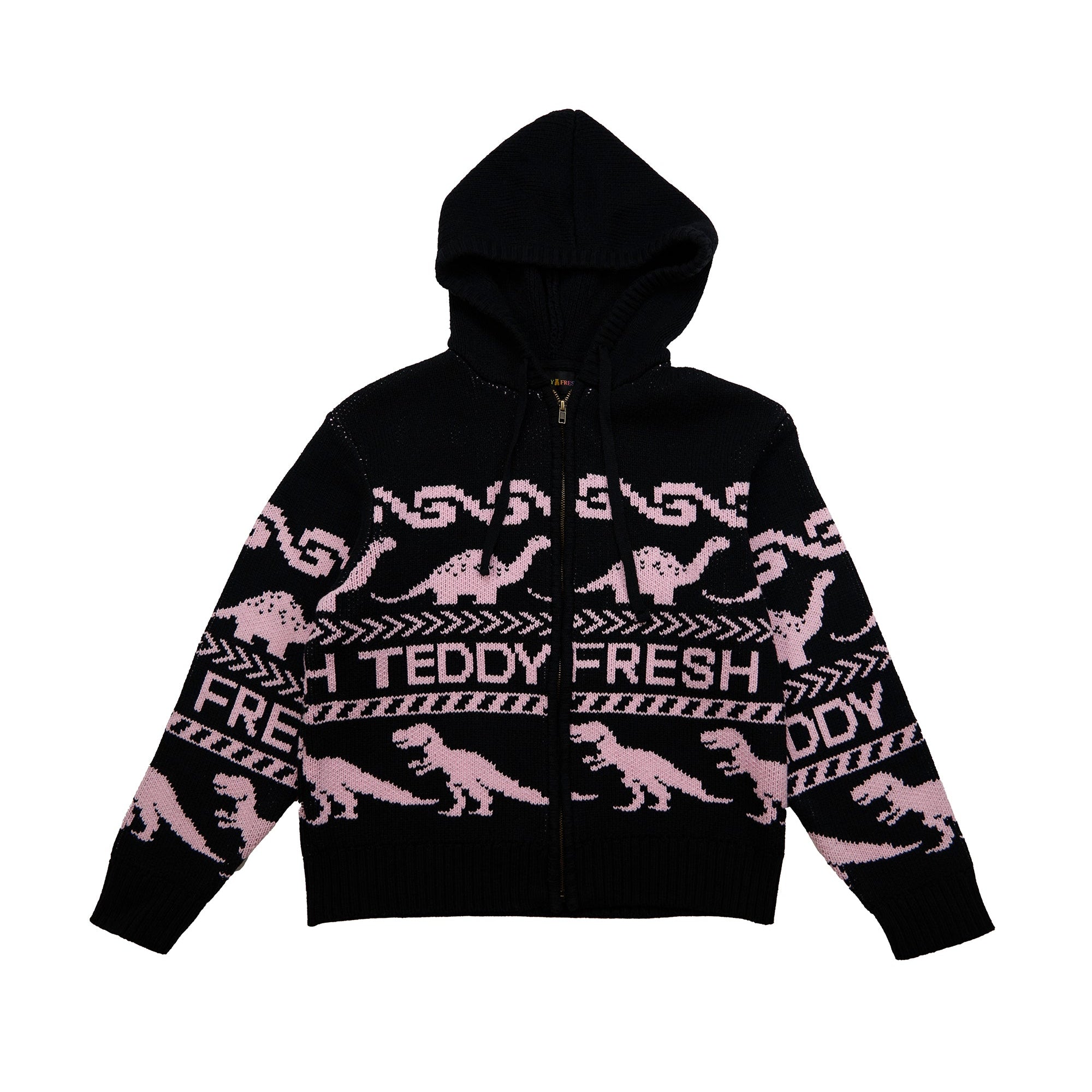 Paleontology Knit Hoodie - Teddy Fresh Paleontology Knit Hoodie - Teddy Fresh