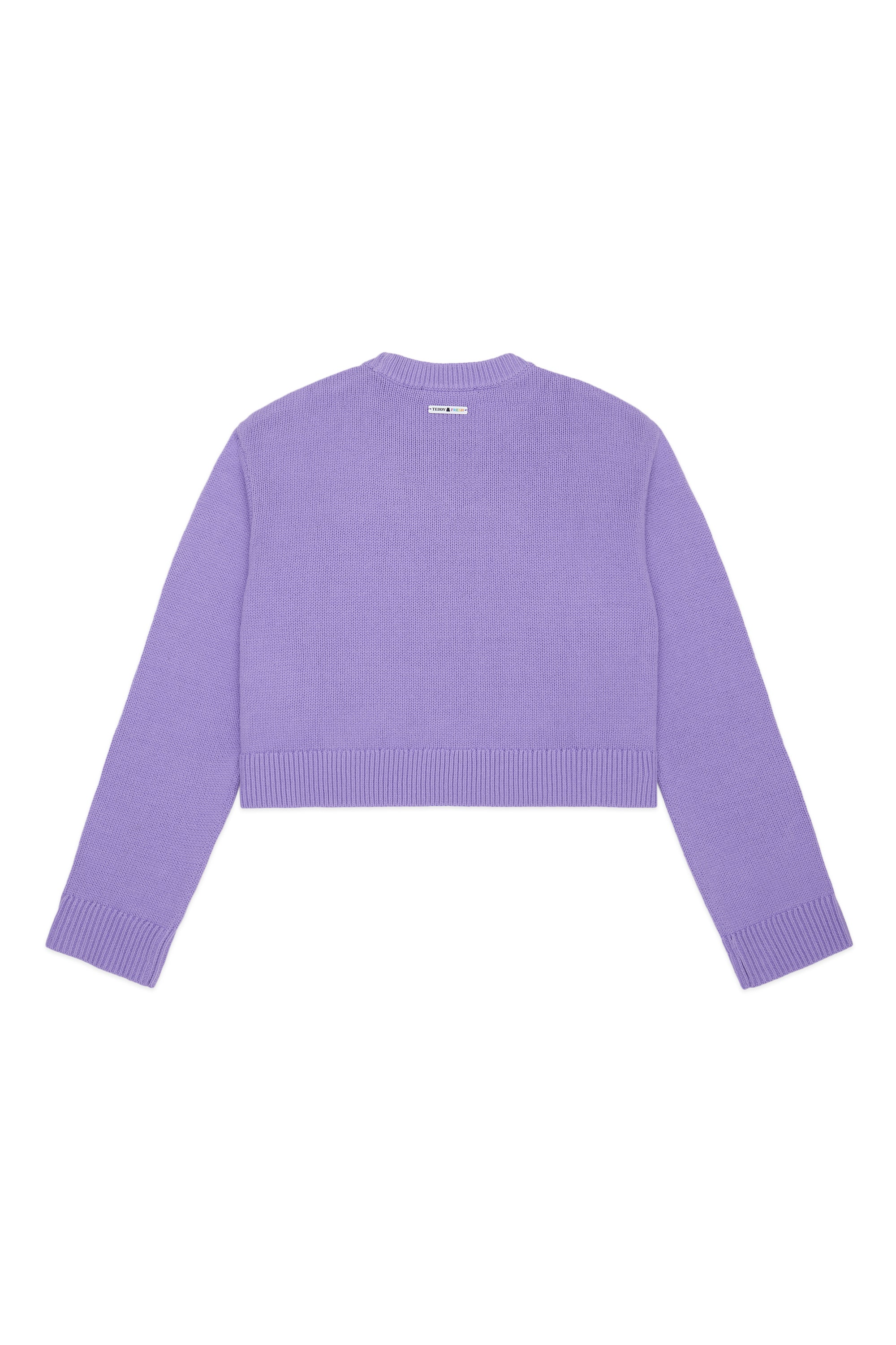 Teddy bear outlet cropped jumper