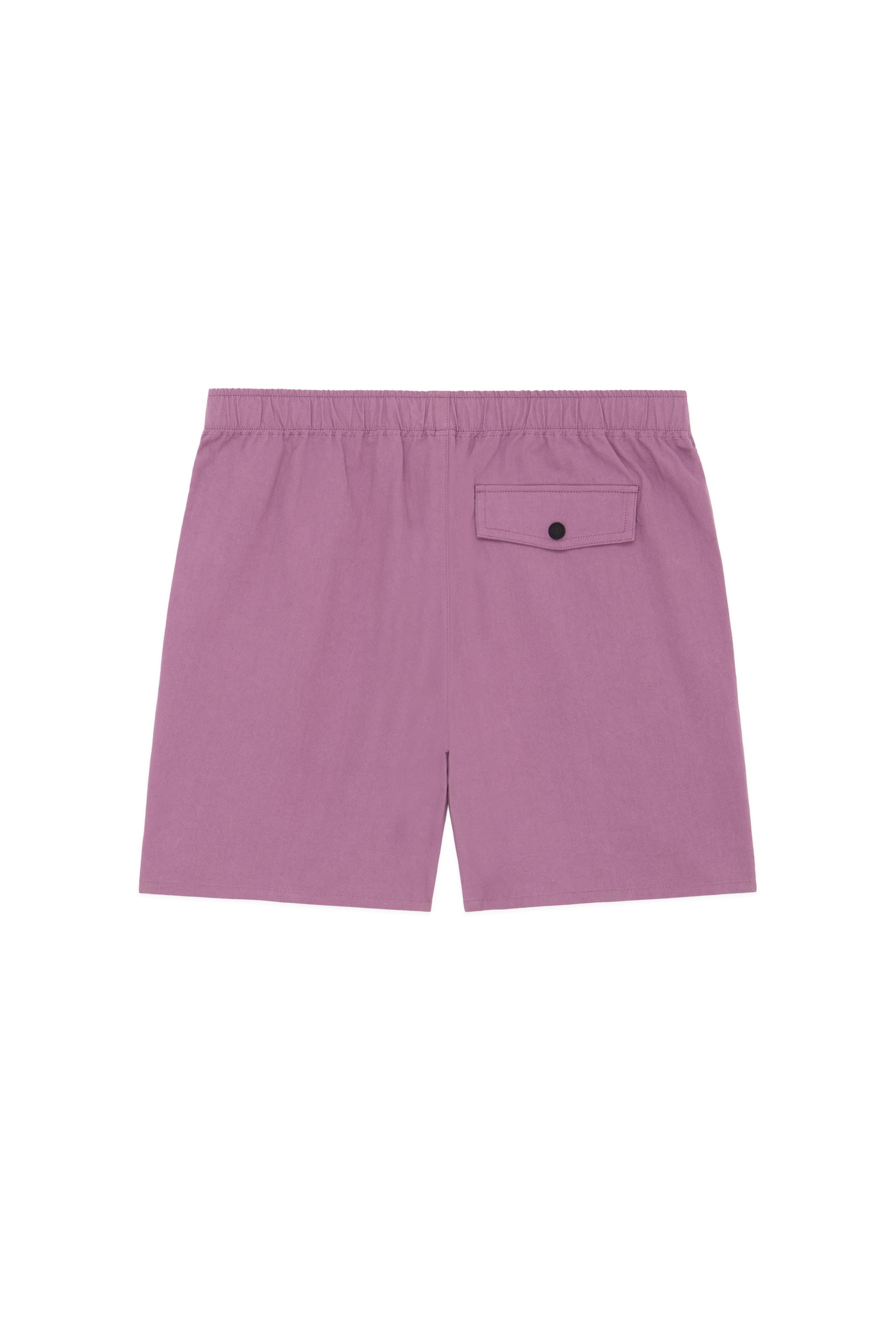 Teddy Fresh top Cotton Men's Shorts