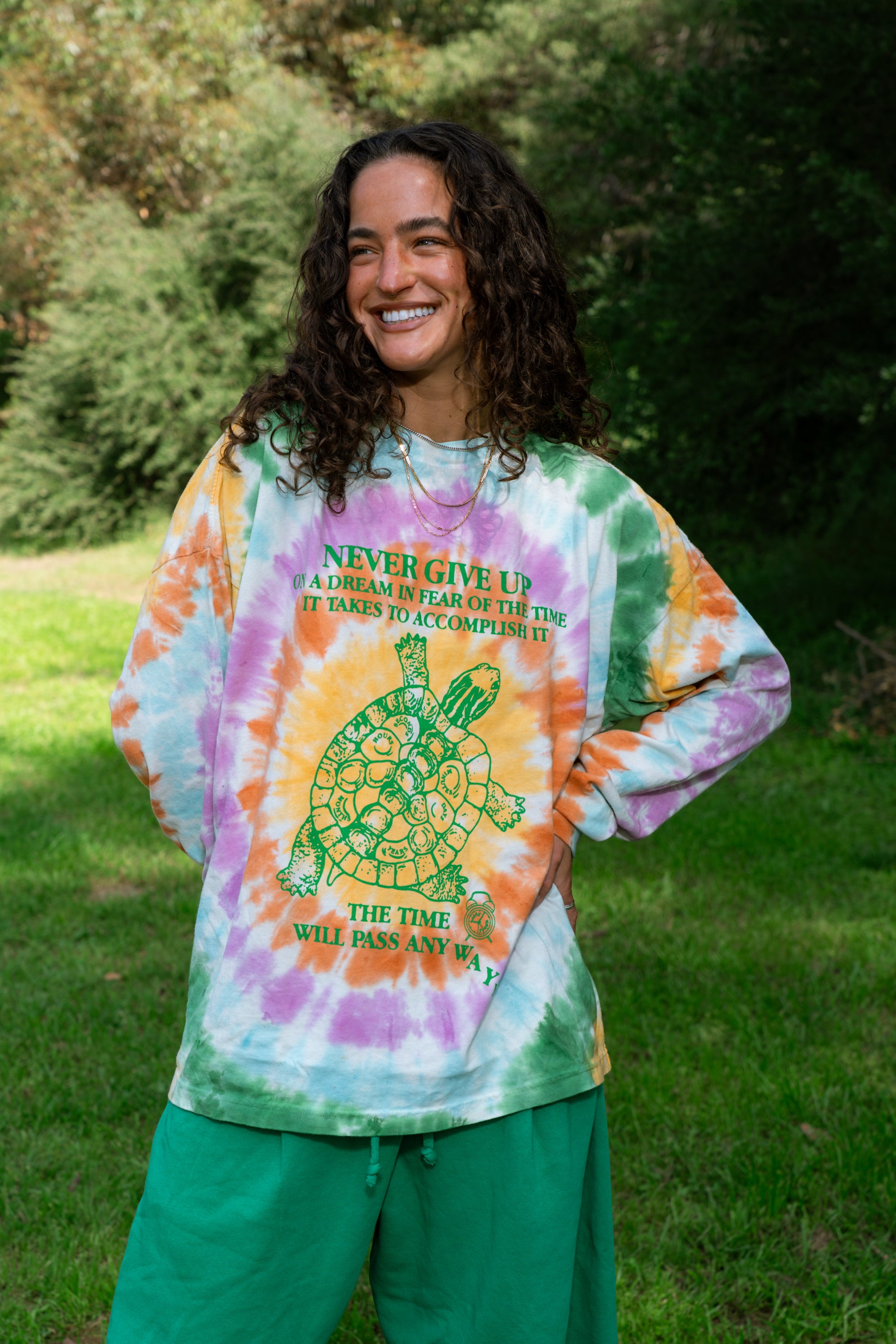 Never Give Up Turtle Tee