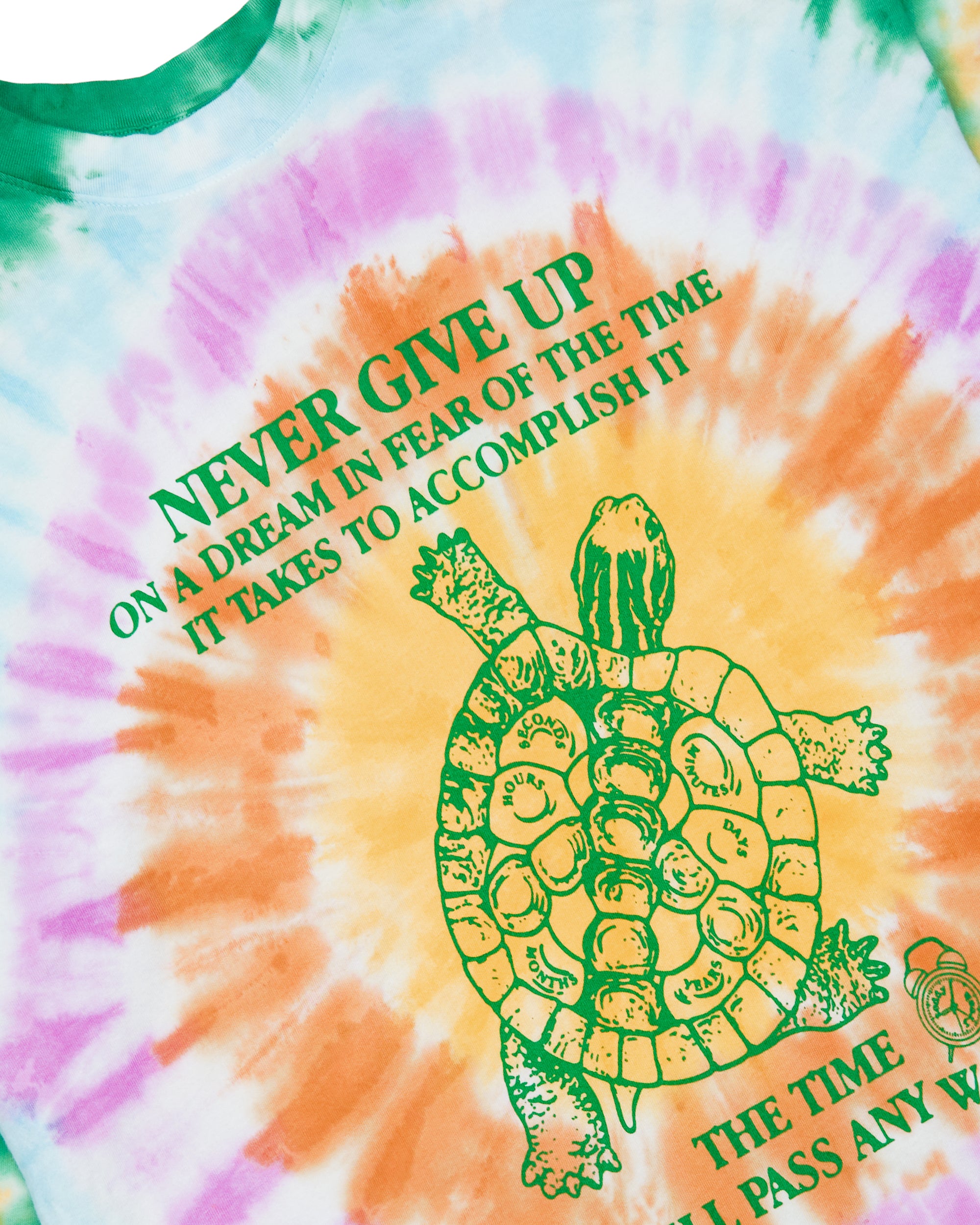 Never Give Up Turtle Tee