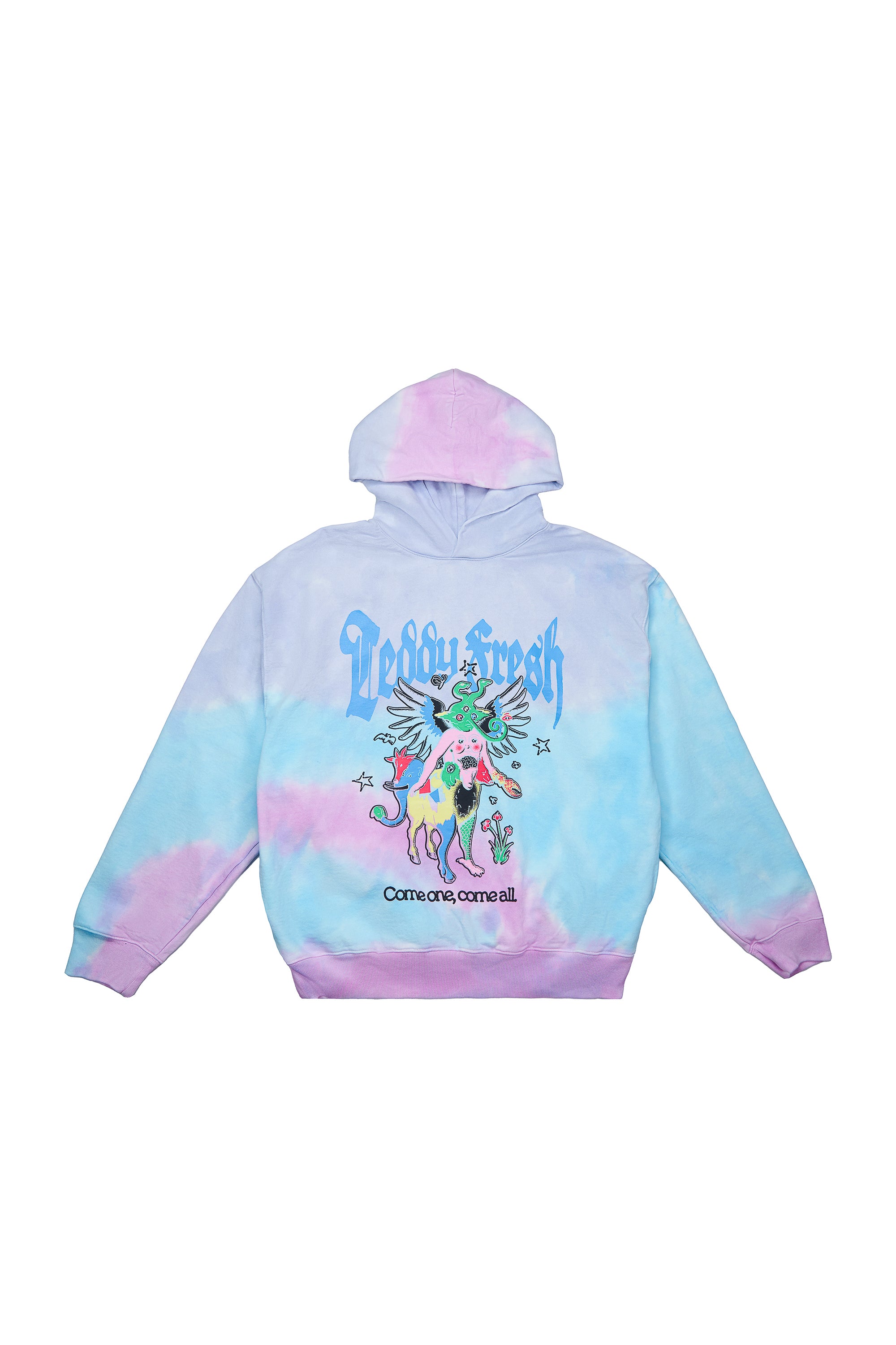 Come One Come All Hoodie - Teddy Fresh